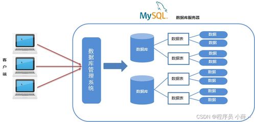 MySQL核心概念與IDEA連接實踐 從SQL語法分類到數(shù)據(jù)庫設(shè)計規(guī)范